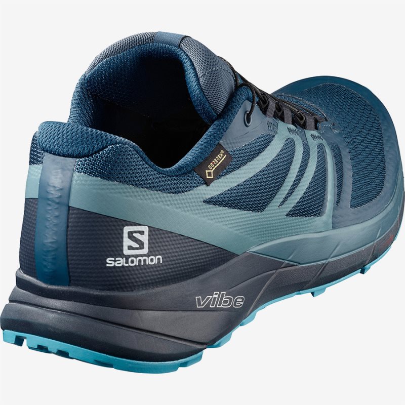 Salomon sense ride 2 deals gtx invisible fit